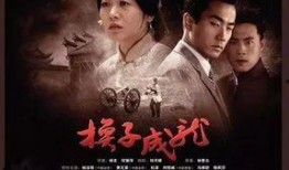 完美人生电视剧,追寻梦想与幸福的奋斗历程