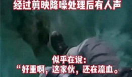 刑警爆料霸凌事件视频,视频曝光惊人一幕