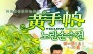 黄手帕电视剧,温情岁月里的爱与救赎