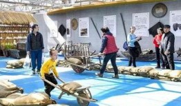 吃瓜群众第二季免费看,免费畅享，揭秘娱乐圈风云变幻