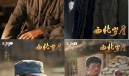 西北电视剧,穿越时空的传奇故事