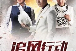 电视剧追风行动,揭秘风暴中的正义风暴