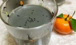 黑豆芝麻豆浆做法,营养早餐新选择，简单易做养生饮品