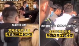 爆料网红辛巴视频大全,揭秘网红辛巴的多面人生