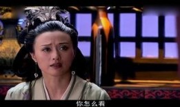 美人心计类似的电视剧,权谋之恋