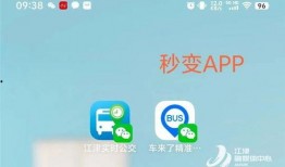 实时最新爆料小程序,小程序背后的秘密与趋势