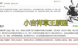 草国须弥爆料解析最新