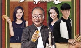 乡亲乡爱电视剧演员表,实力派齐聚演绎乡村温情故事