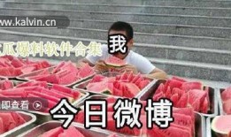 吃瓜爆料全集在线观看,揭秘娱乐圈幕后真相
