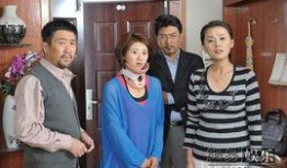 漂亮主妇电视剧,漂亮主妇的温馨生活画卷