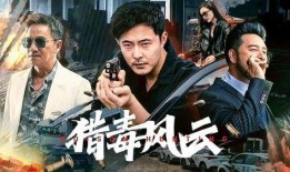 战毒电视剧,卧底风云，生死较量