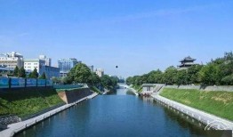 爆料阳湖二院事件视频,真相与争议交织