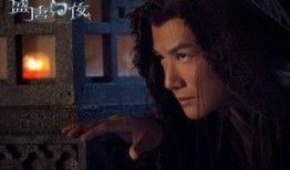 幻夜电视剧,悬疑迷雾中的情感纠葛