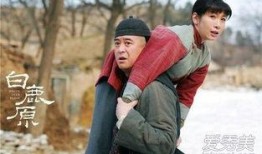 电视剧白鹿原剧情介绍,家族恩怨，命运交织的百年史诗