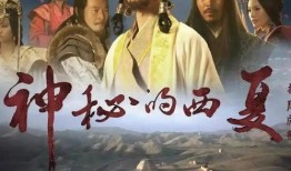 西夏王朝电视剧,王朝兴衰传奇