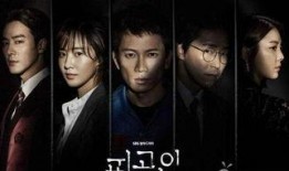 韩国电视剧免费观看,揭秘热门剧集免费观看攻略