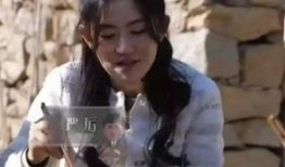 黄磊爆料玫瑰花视频播放