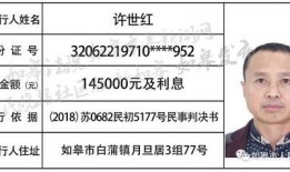 如皋新闻爆料渠道是什么,多元途径助力信息传播