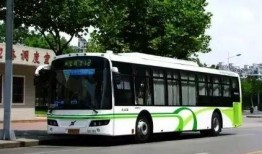 南京公交车爆料新闻视频,惊现惊人一幕，乘客目睹惊人真相！