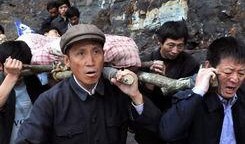 红叶电视剧,情牵岁月，爱在深秋