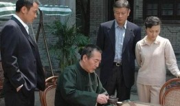 电视剧国家干部,权谋与担当的官场风云