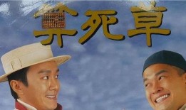 算死草粤语在线观看,笑料百出，揭秘江湖奇术