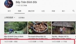 越南爆料博主视频,视频背后的惊人真相