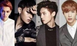 exo的电视剧,星光璀璨的青春岁月