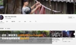 越南爆料博主视频,视频背后的惊人真相