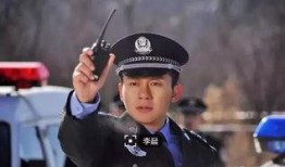 最新警察电视剧,揭秘新时代警察的智慧与勇气