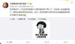 成毅主播爆料视频大全集,揭秘幕后故事与精彩瞬间