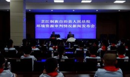 芷江新闻爆料事件,真相与舆论的交织