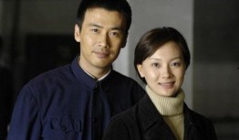 电视剧暗算剧情简介,揭秘密码战背后的惊心动魄