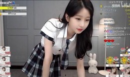 女主播在线直播观看,在线观众眼中的璀璨星辰