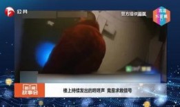 安徽直播在线观看高清,尽享高清视听盛宴