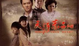 电视剧免费高清在线观看,尽享视听盛宴——电视剧在线观看新体验