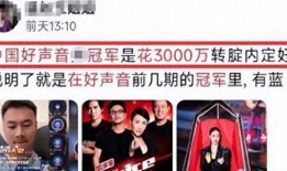 选手爆料中国好声音视频