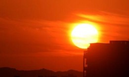 红日   在线观看